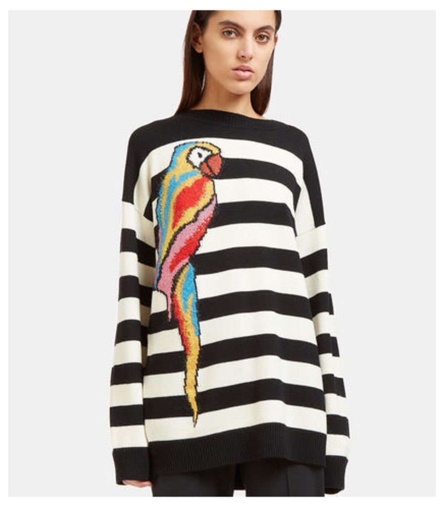 Striped Parrot Intarsia Knit Sweater