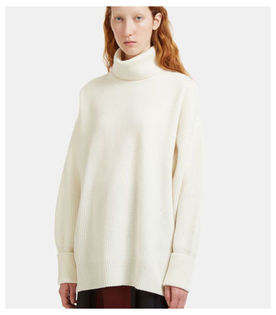 Oversized Roll Neck Ribbed Knit Sweater