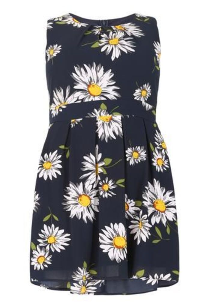 Plus Size Daisy Print Dress