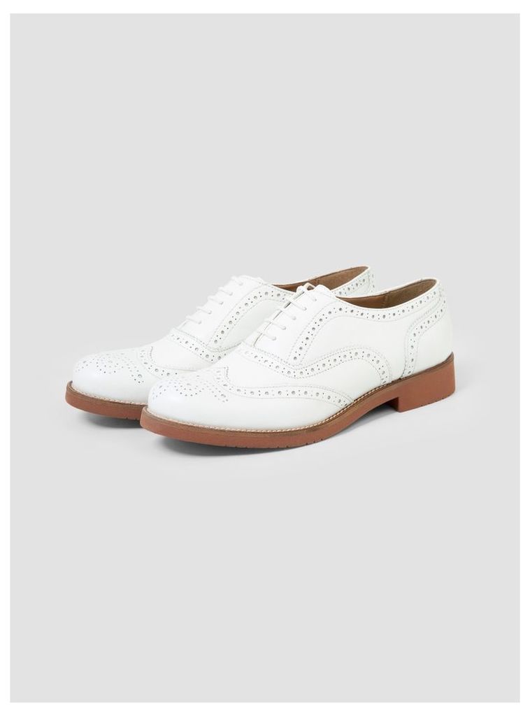 Albany Oxford Brogue Shoes White