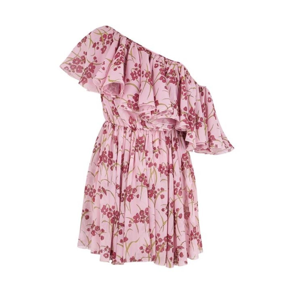 Giambattista Valli Floral-print Silk Chiffon Mini Dress