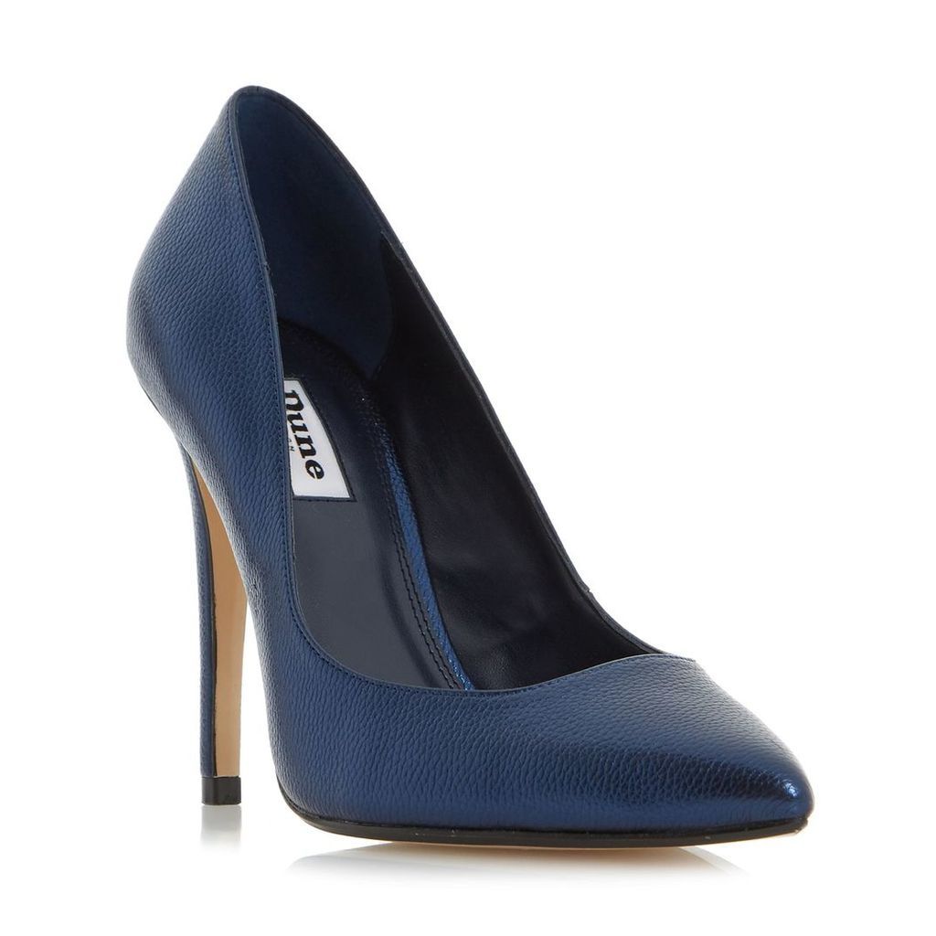 Aiyana Pointed Toe High Heel Court Shoe