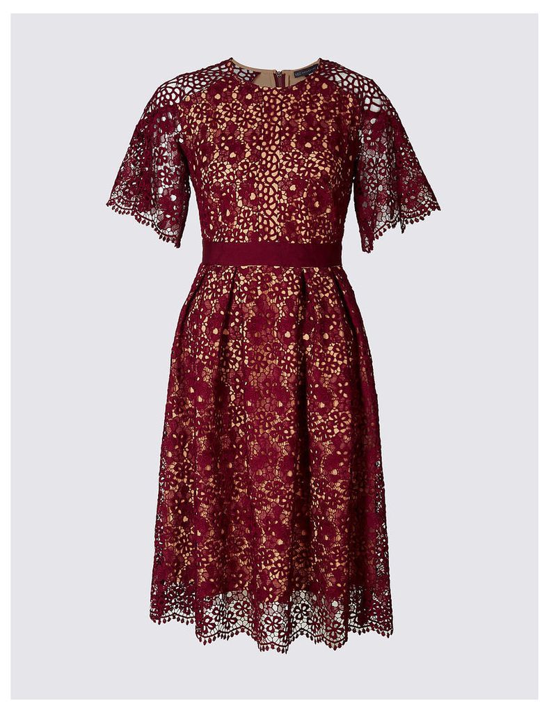 M&S Collection Floral Lace Short Sleeve Skater Midi Dress