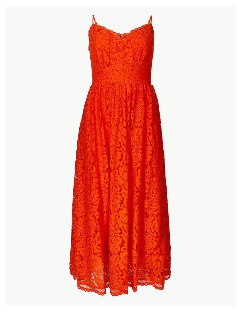 M&S Collection Lace Fit & Flare Midi Dress