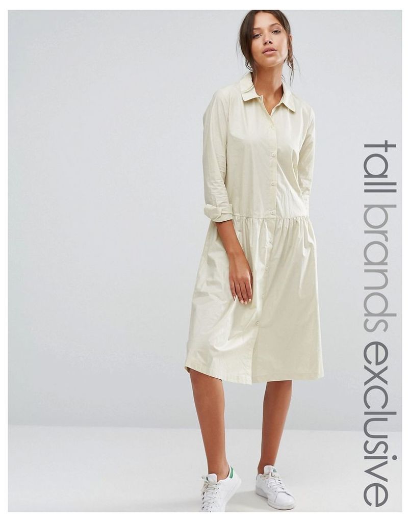 Adpt Tall Button Front Long Sleeve Dress With Collar Detail - Cream
