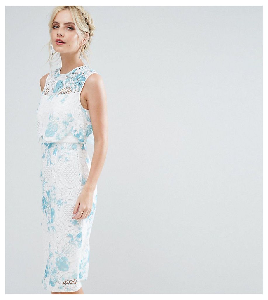 ASOS PETITE SALON Crop Top Lace Pencil Dress with Blue Floral Print - Multi