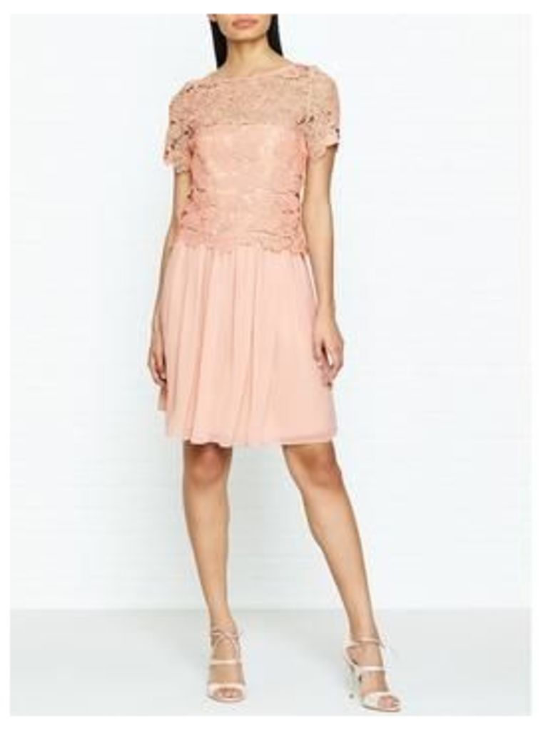 Reiss Milla Lace Occasion Dress - Pink, Size 12