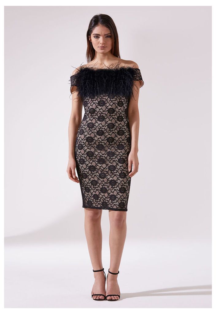 *Available for pre-order* The LBD Kate Dress in Lace