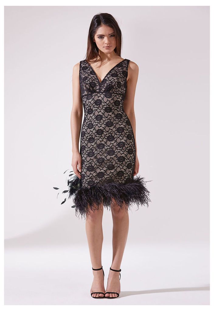 The LBD Audrey Dress in Lace