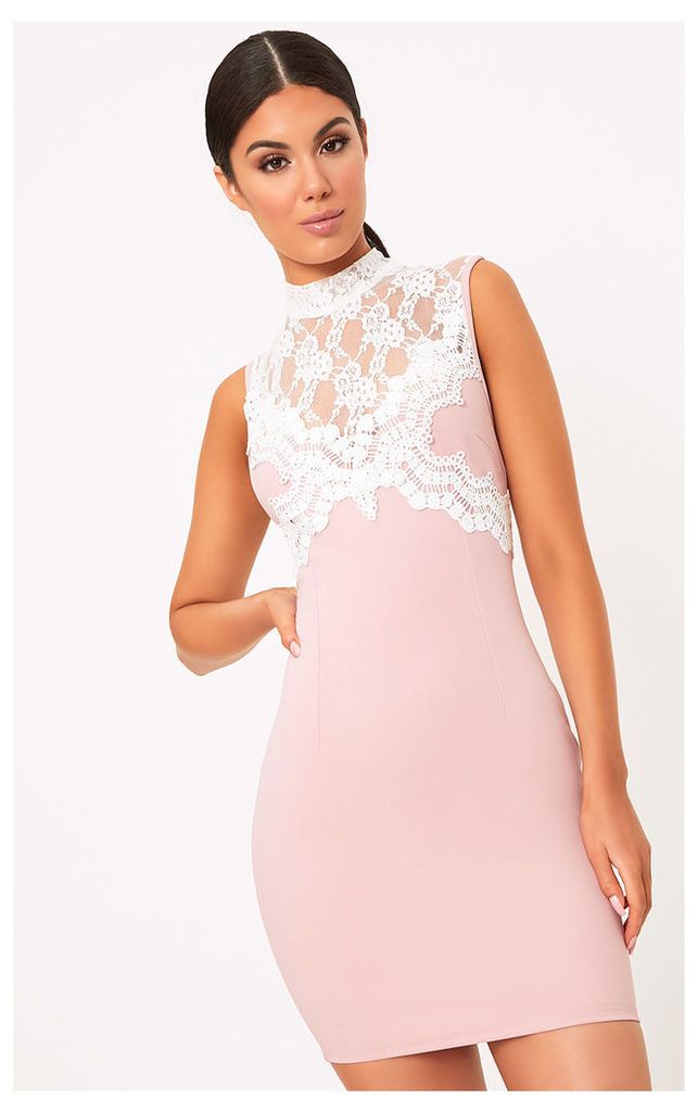 Zendana Pink High Neck Contrast Lace Bodycon Dress