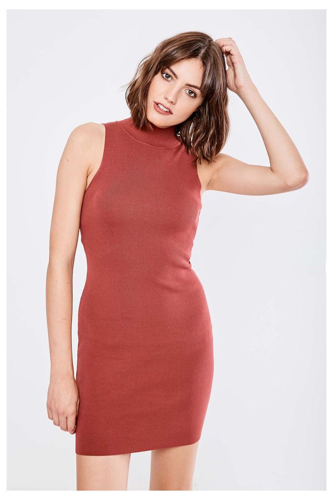 Parallel Lines Knit Bodycon Dress - Brown