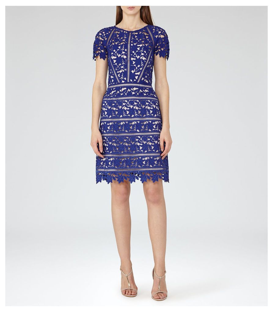 Reiss Orchid - Lace Dress in Sapphire, Womens, Size 6