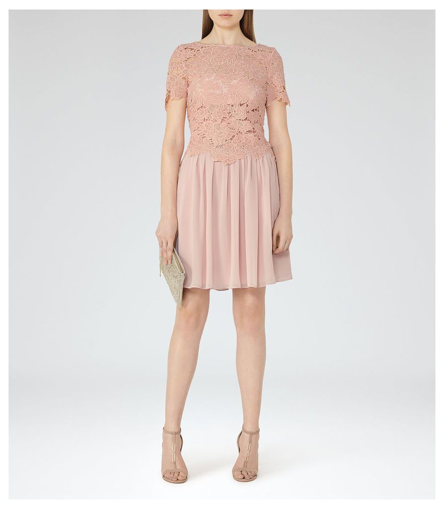 Reiss Milla - Lace-top Dress in Tea Rose, Womens, Size 14