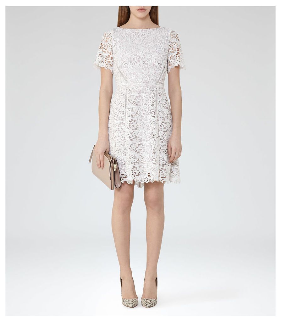 Reiss Eleania - Lace Fit And Flare Dress in Off White/Ash, Womens, Size 12