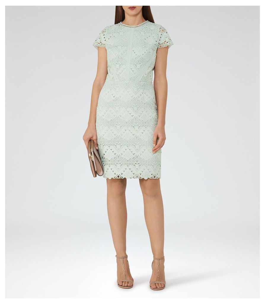 Reiss Liza - Cap-sleeve Lace Dress in Sage, Womens, Size 10
