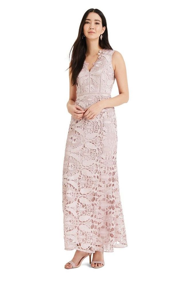 Womens Phase Eight Pink Zoey Guipure Lace Dress -  Pink