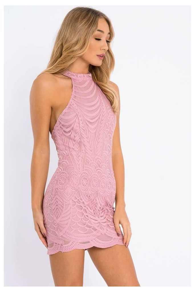 Pink Dresses - Rachele Pink Lace Halterneck Dress