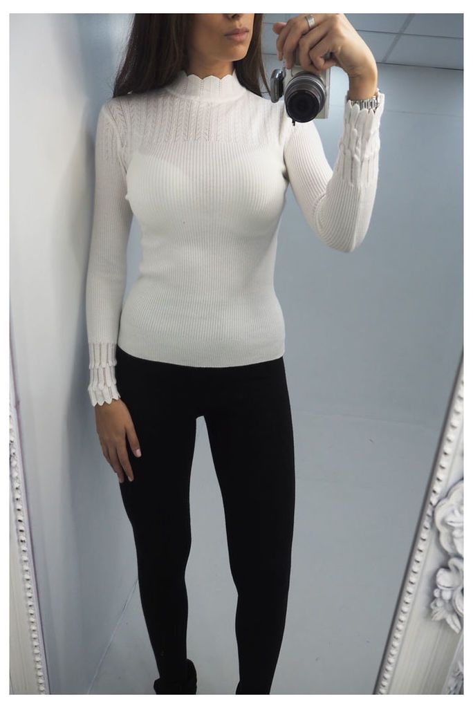 Chazz fitted high neck knitted jumper