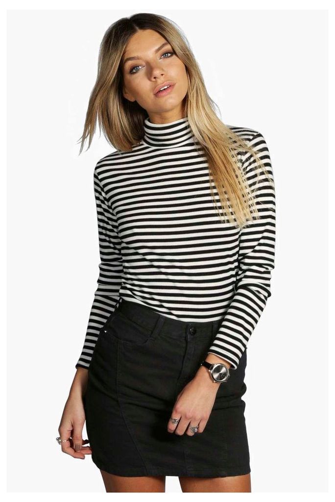 Darcy Ribbed Striped Turtle Neck Top - multi