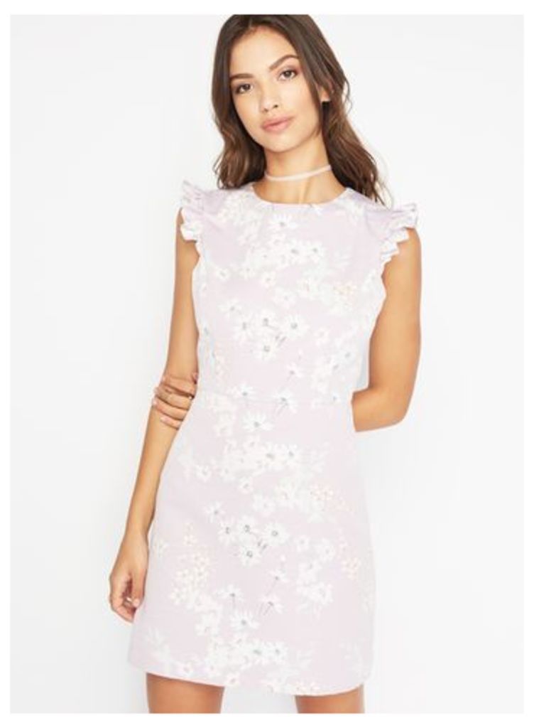 Womens PETITE Lilac Floral Dress, Pink