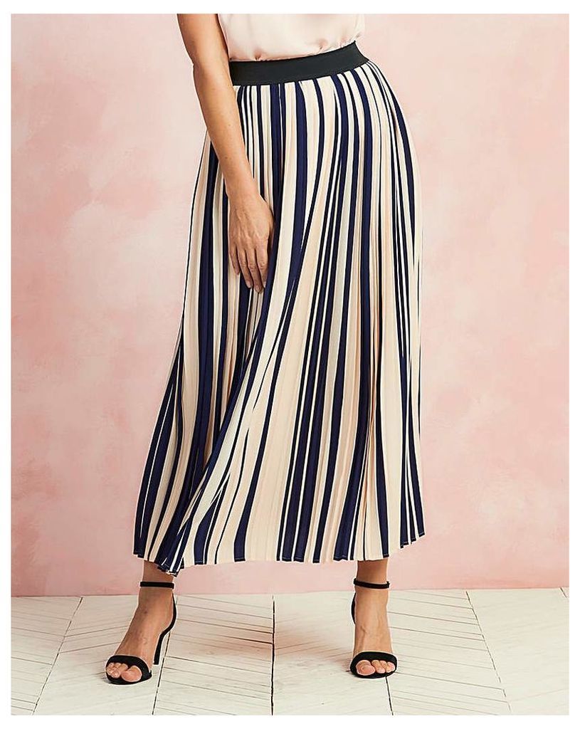 Striped Pleat Maxi Length Skirt