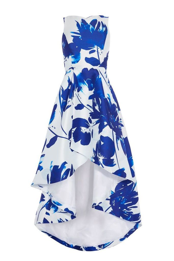 Coast Roseanna Blue Printed Dress, Blue