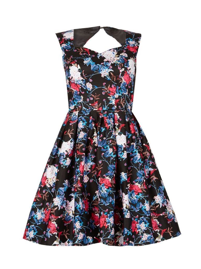 Izabel London Floral Fit-And-Flare Dress, Multi-Coloured