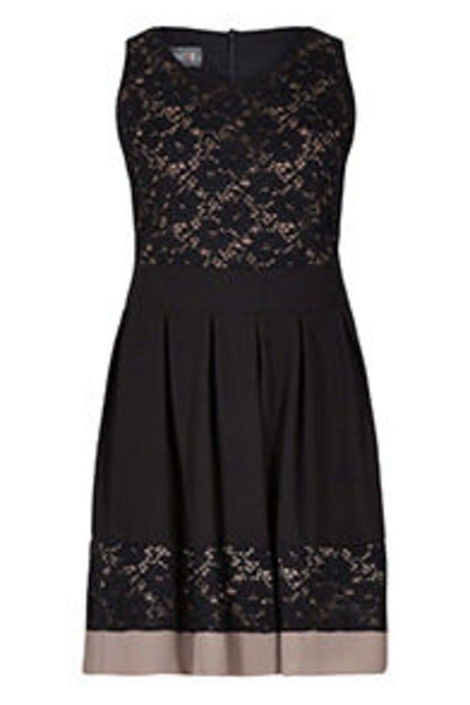 Black & Stone Floral Lace Panel Structured Dress