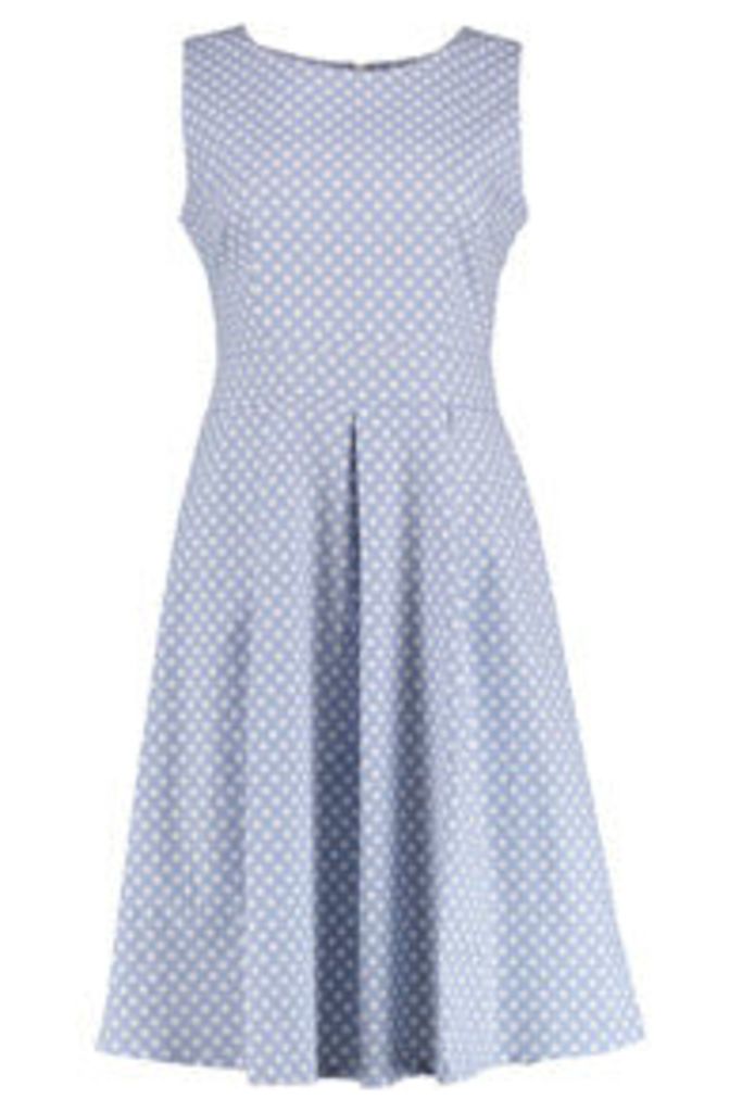 Blue & White Polkadot Print Structured Dress