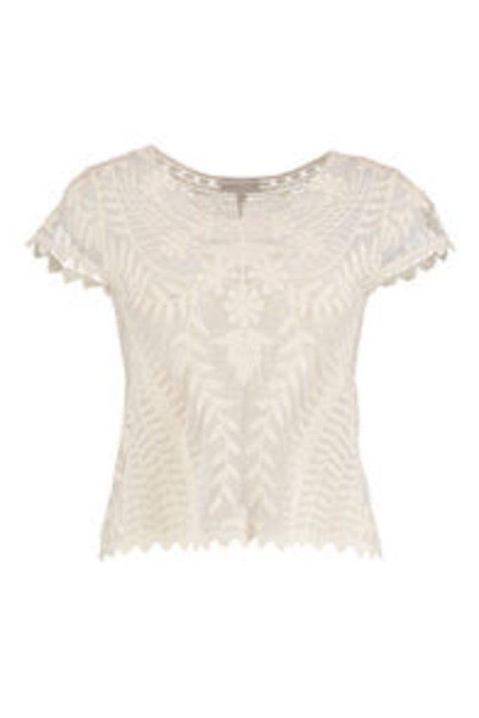 Stone Embroidered Floral & Vine Pattern Mesh T-Shirt