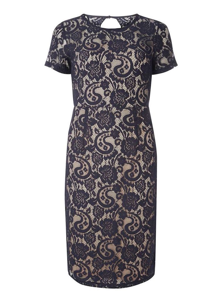 Womens Navy And Nude Lace Dress- Navy