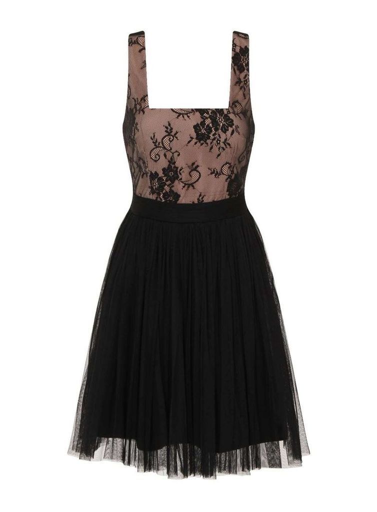 Womens **Little Mistress Black lace mini dress- Black