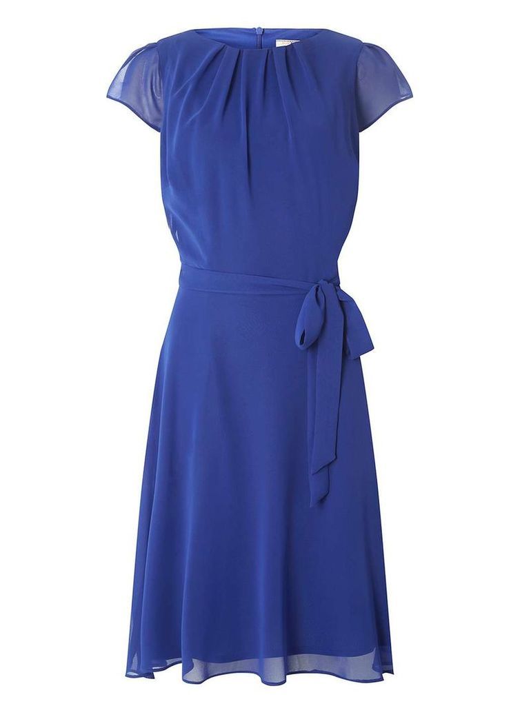 Womens **Billie & Blossom Tall Cobalt Chiffon Dress- Cobalt, Cobalt