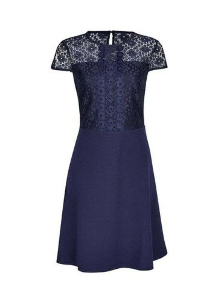 Womens Navy Scuba Lace Top Fit And Flare Dress - Blue, Blue