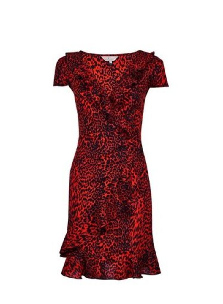 Womens **Billie & Blossom Multi Colour Leopard Print Wrap Dress- Orange, Orange