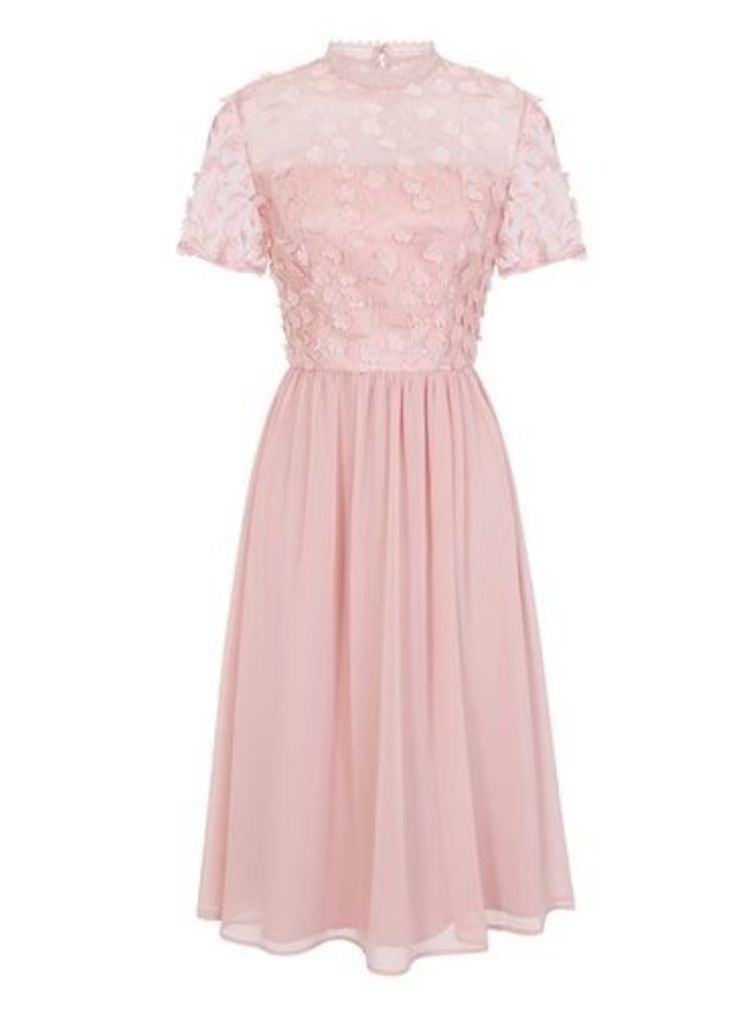 Womens *Chi Chi London Pink 3D Floral Midi Dress- Pink, Pink