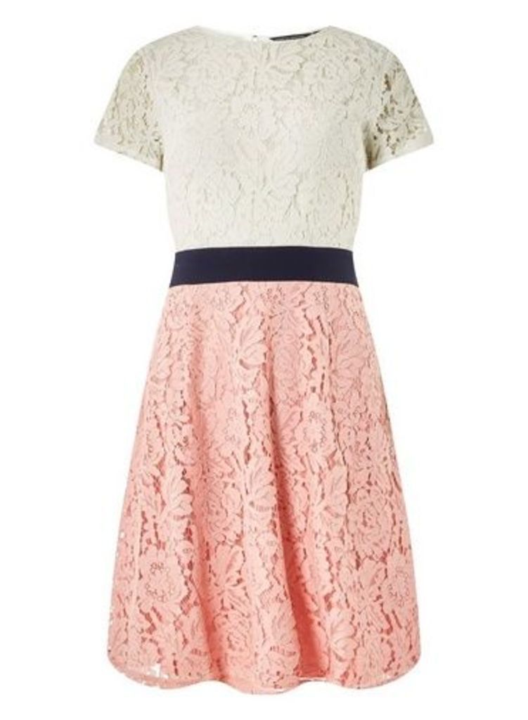Womens Blush And Ivory Colour Block Lace Skater Dress- Pink, Pink