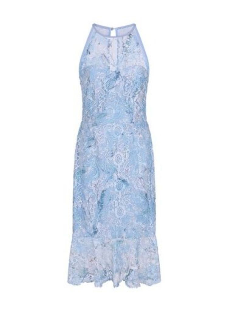 Womens Paper Dolls Blue Lace Halterneck Dress, Blue