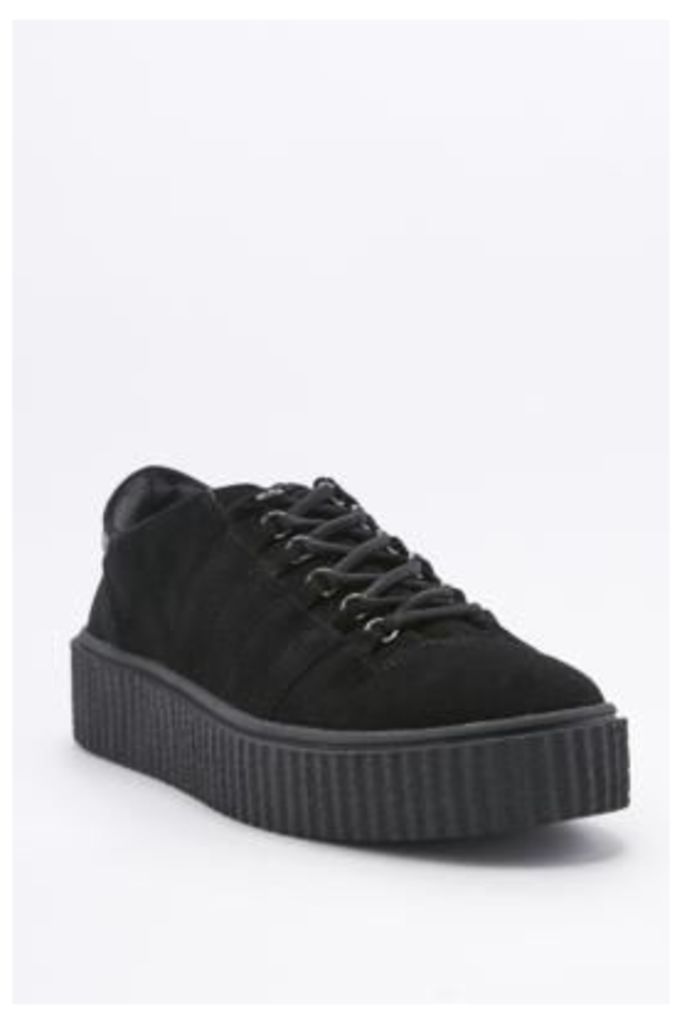 Hollie Black Suede Lace-Up Creeper Shoes, BLACK