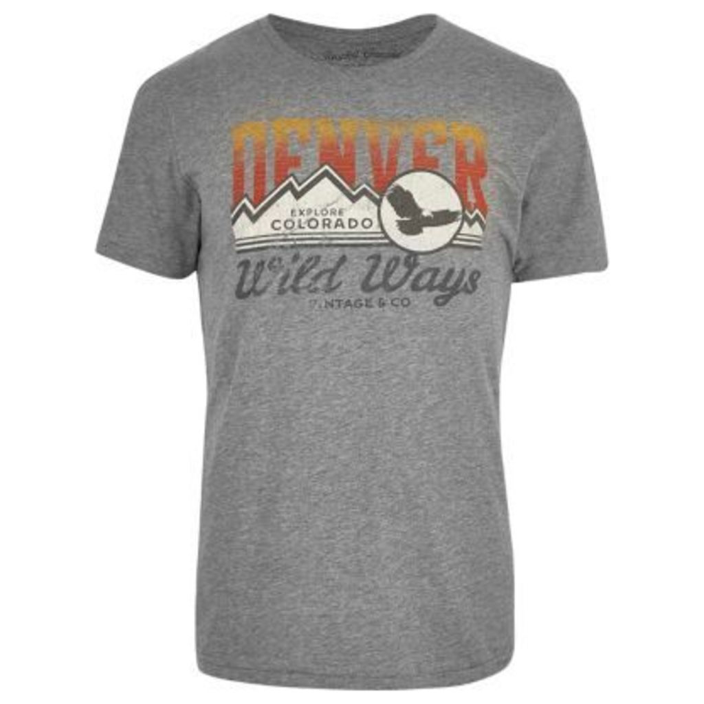 River Island Mens Jack & Jones Grey Denver print washed T-shirt