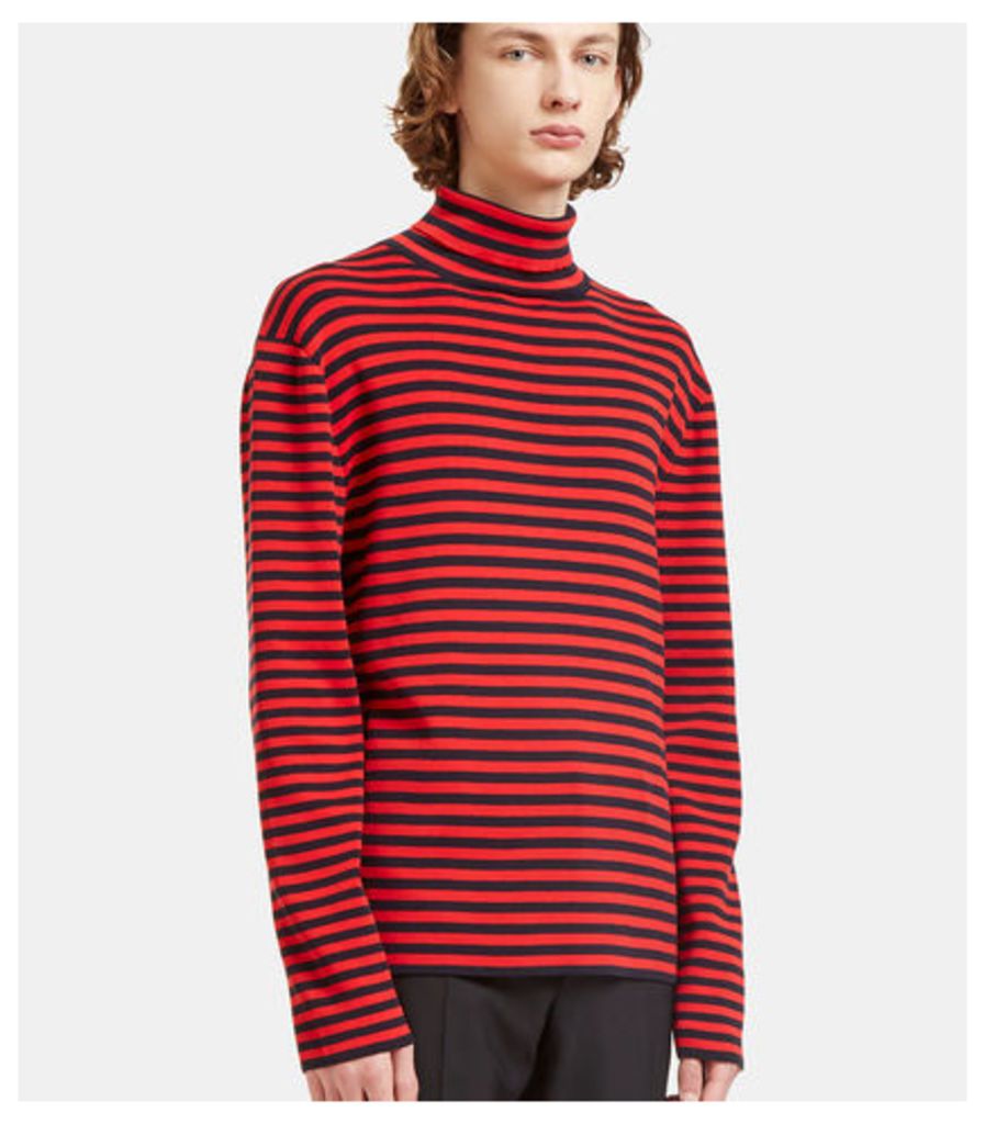 Striped Roll Neck Knit Sweater