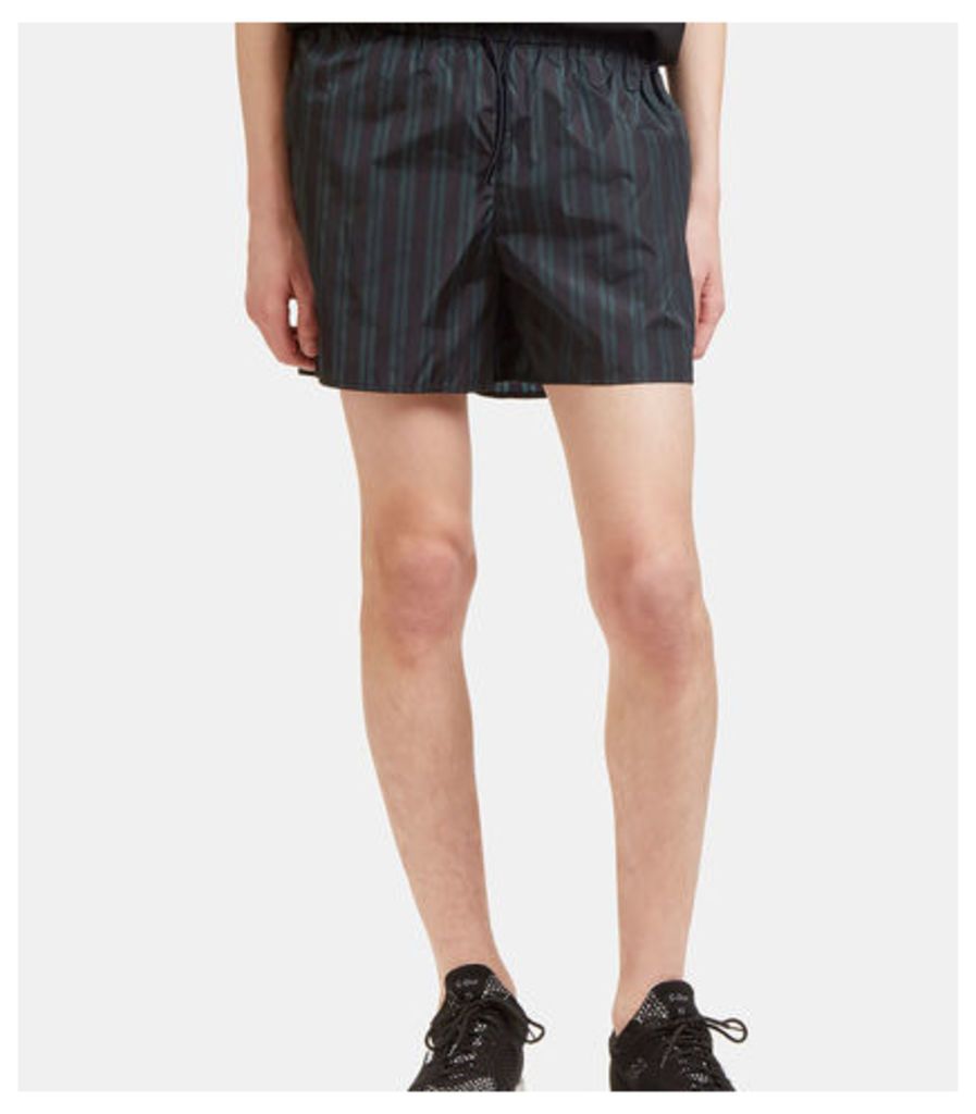 Perry Striped Swim Shorts