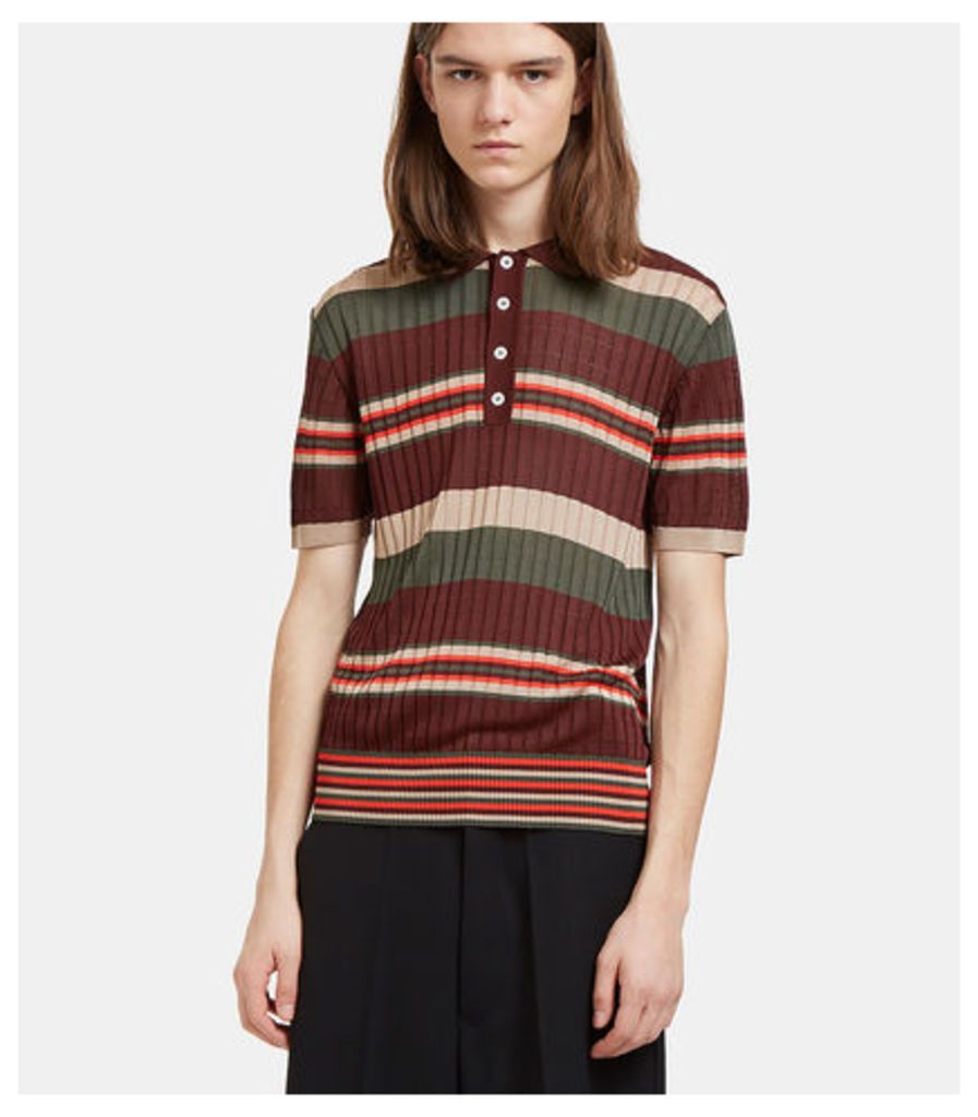 Striped Fine Knit Polo Shirt