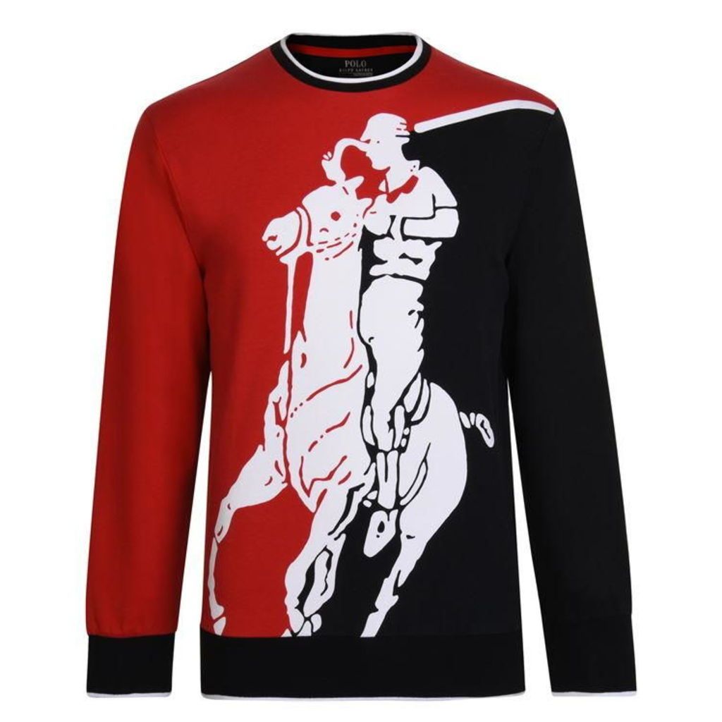 Polo Ralph Lauren Cotton Interlock Graphic Sweatshirt