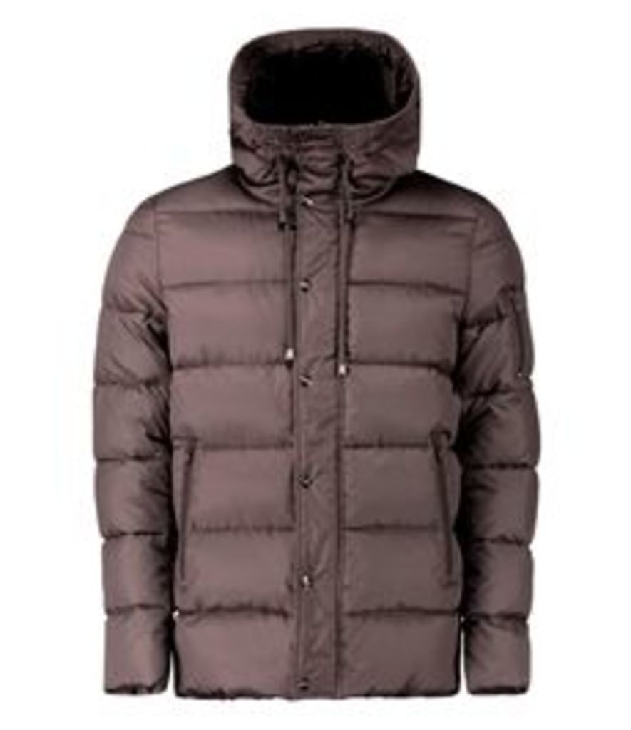 Men's Brown Classic Puffa Jacket - With Hood