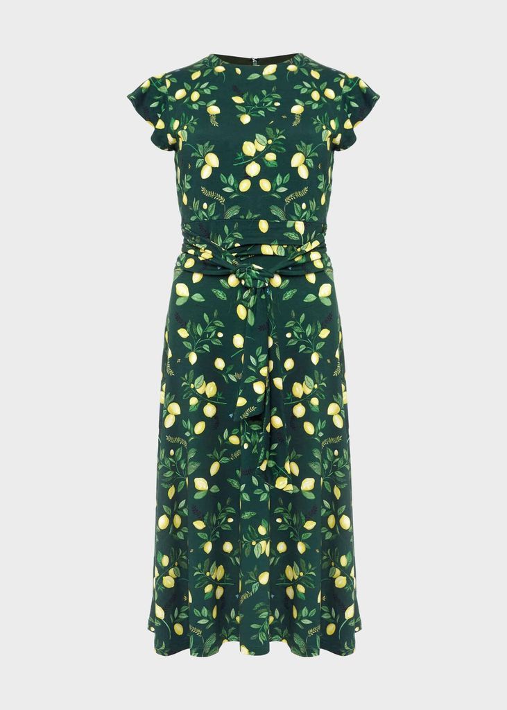 Cici Jersey Printed Dress Green Multi