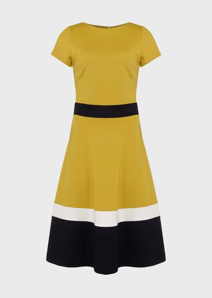 Women Seasalter Jersey Fit And Flare Dress