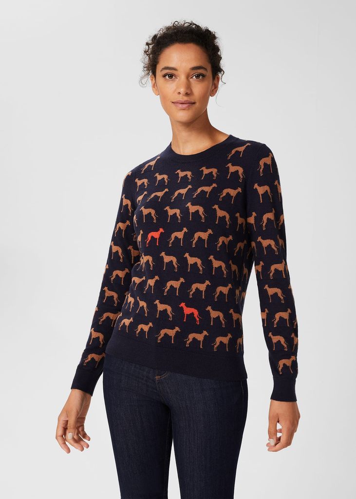 Women's Larissa Whippet Jumper with Cashmere