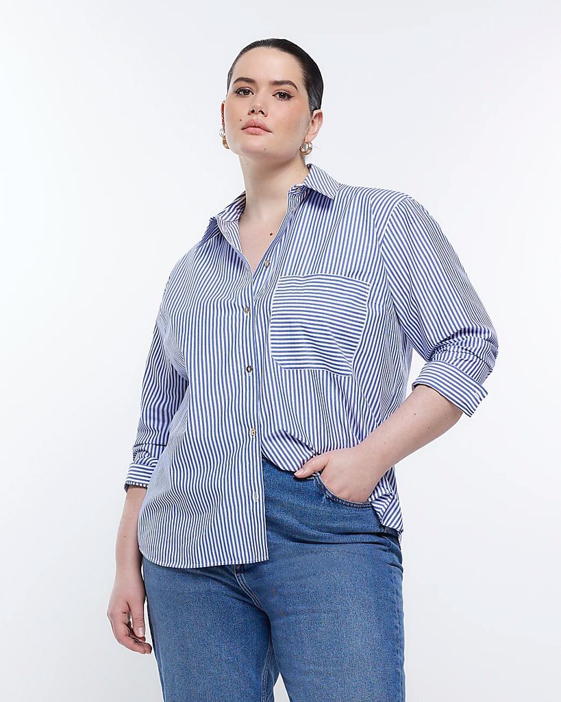 Womens Plus Blue Stripe Long Sleeve Shirt