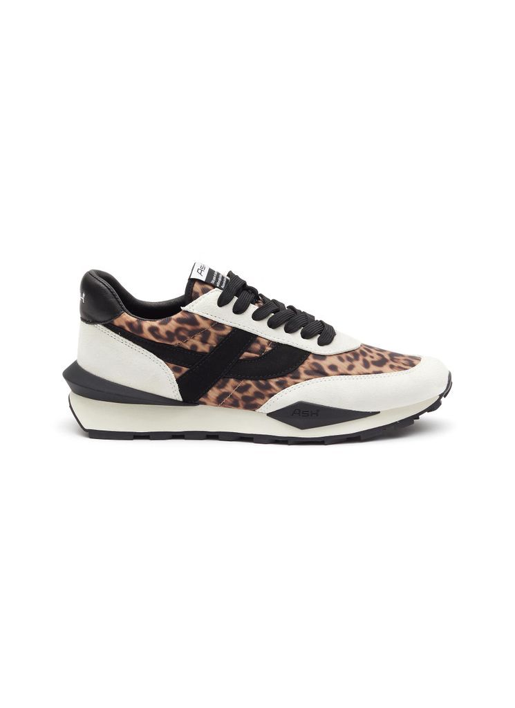 ‘Spider 168' Leopard Print Low Top Sneakers
